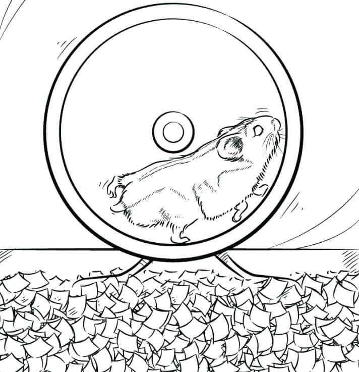 Desenho deHamster Correndo para colorir