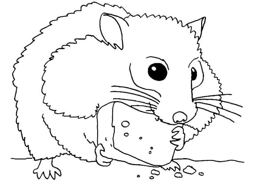 Desenho de Hamster Gordo 2 para colorir