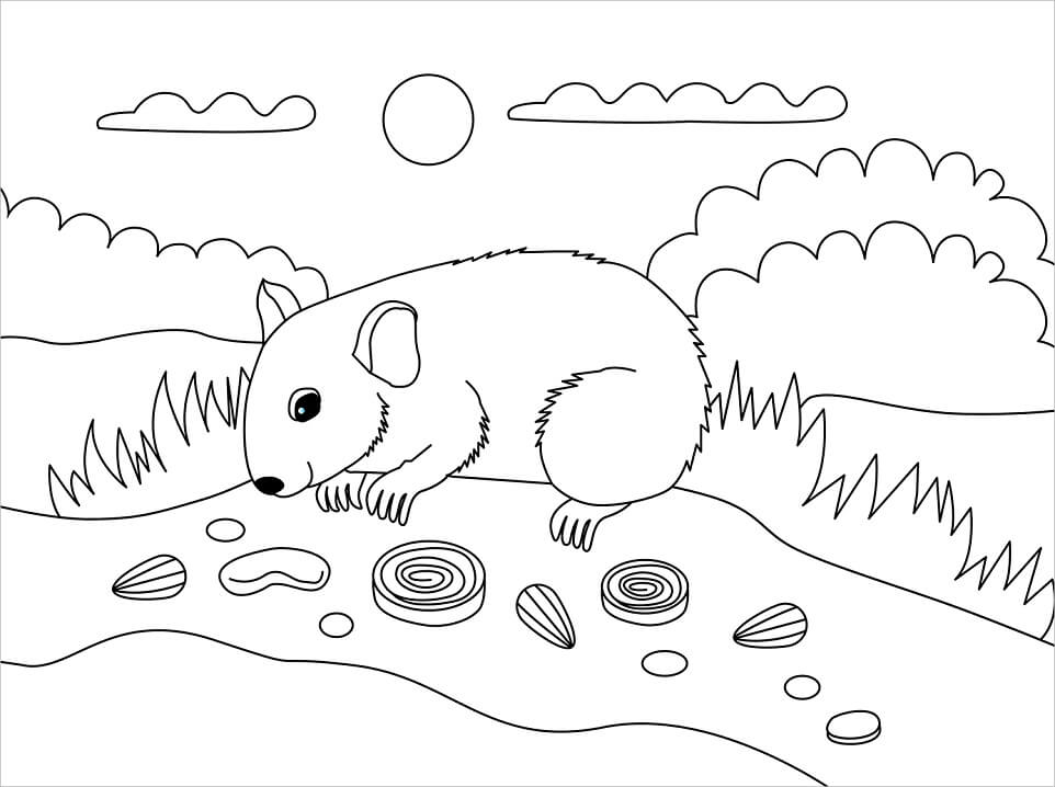 Desenho deHamster Selvagem 2 para colorir