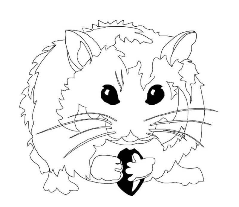 Desenho deHamster Selvagem para colorir