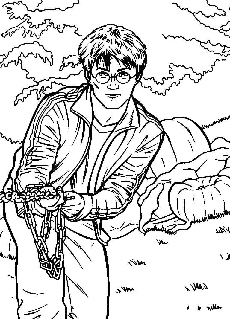 Desenho de Harry Potter 17 para colorir