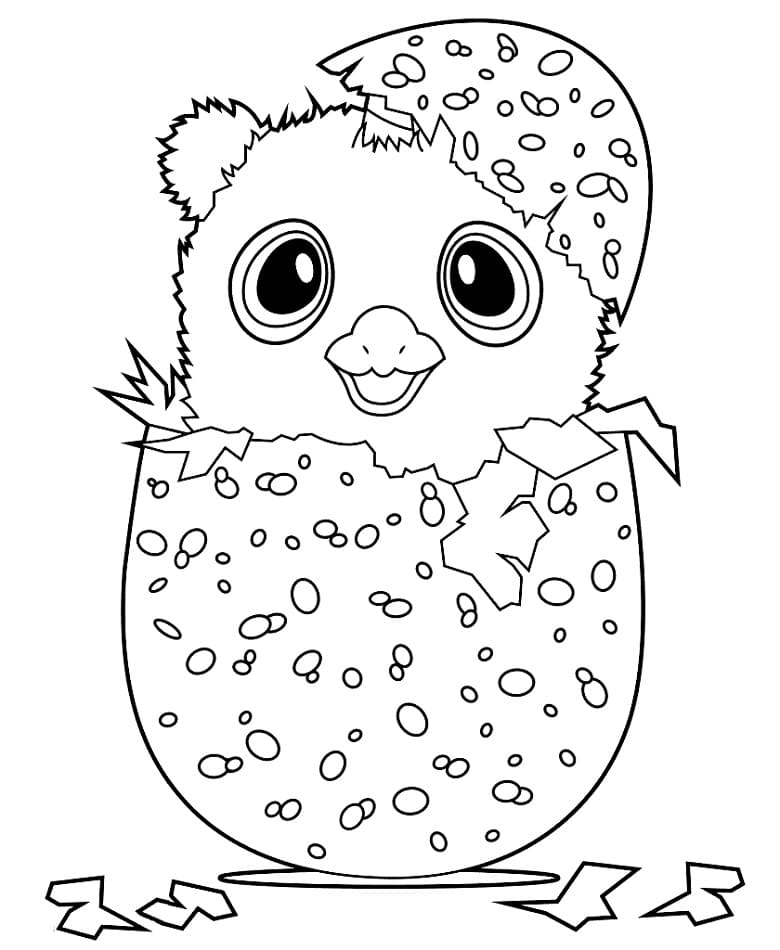 Desenho deHatchimals 3 para colorir