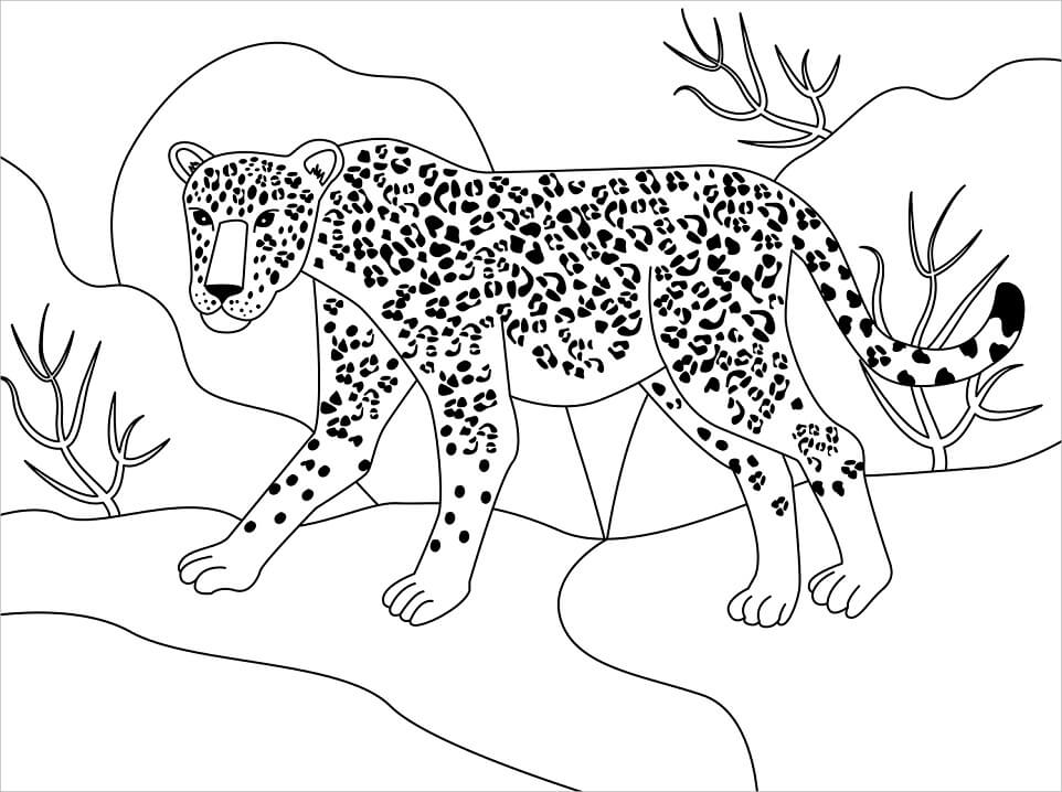 Desenho deJaguar Selvagem 2 para colorir