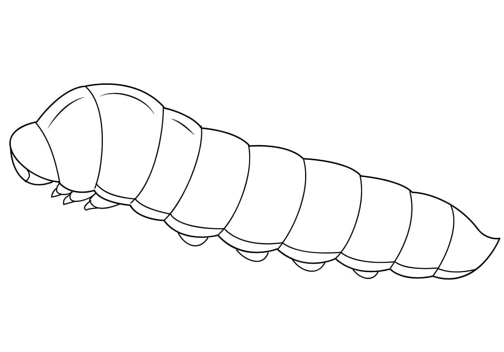 Desenho deLagarta 1 para colorir