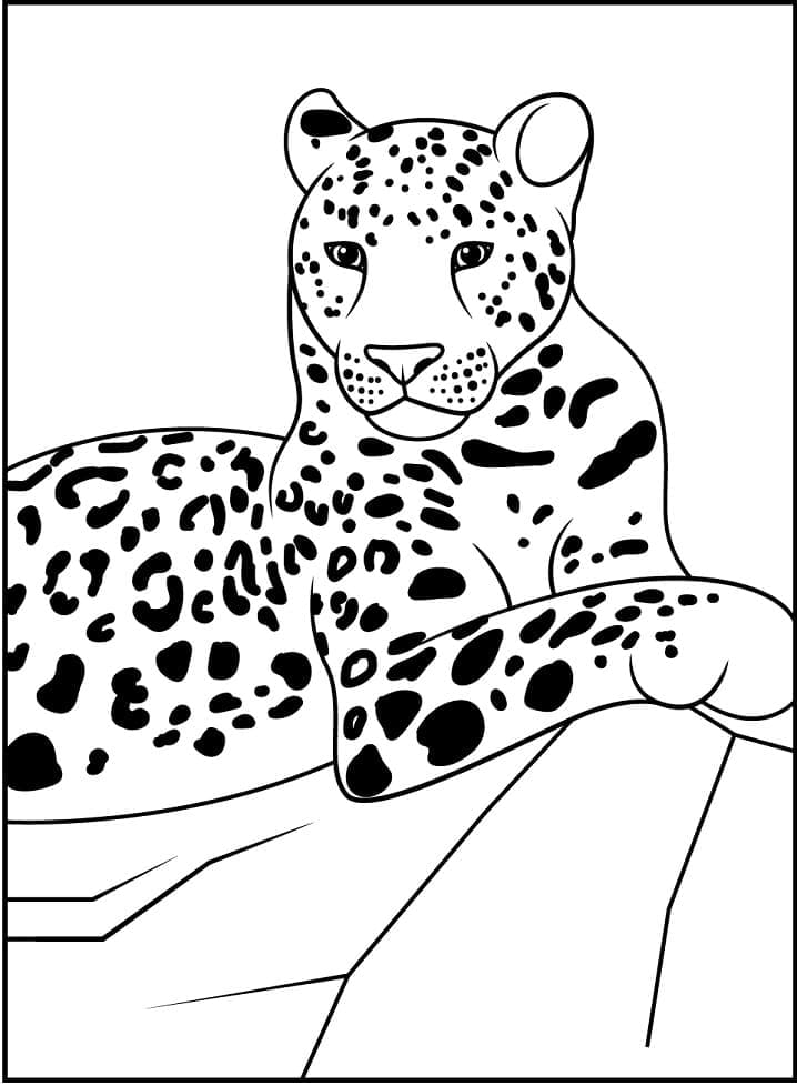 Desenho deLeopardo 4 para colorir