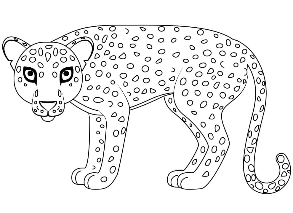 Desenhos de Leopardo para colorir