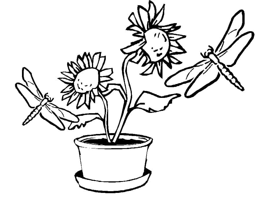 Desenho deLibélulas com Flores para colorir