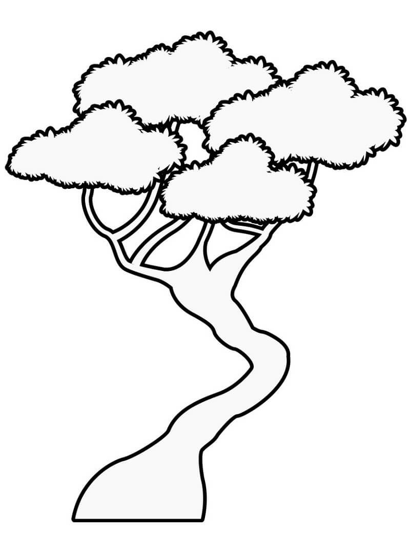 Desenho de Lindo Bonsai 1 para colorir