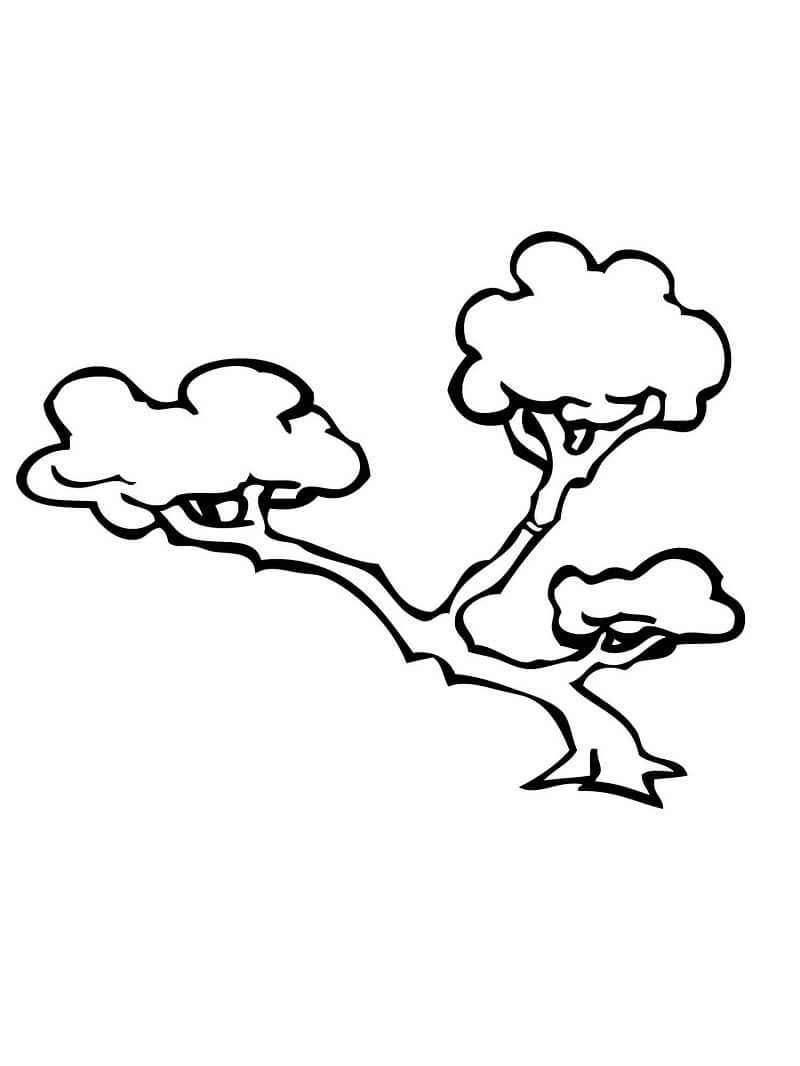 Desenho de Lindo Bonsai 2 para colorir