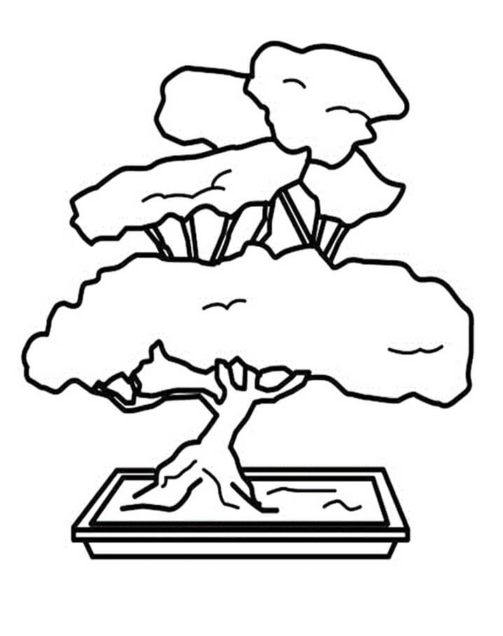 Desenhos de Bonsai para colorir