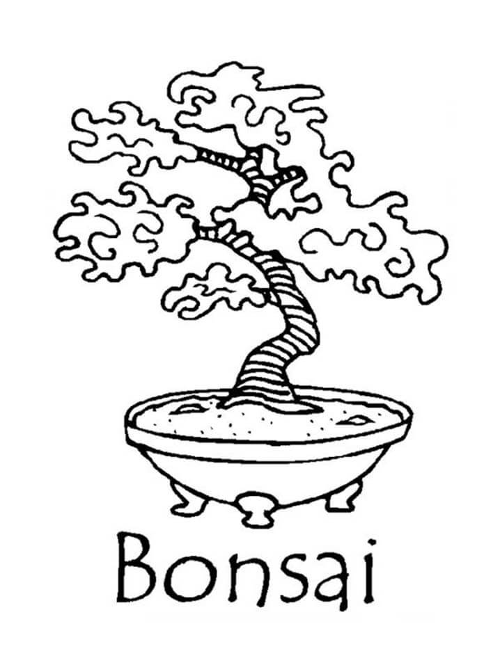 Desenho de Lindo Bonsai 4 para colorir