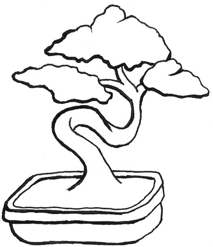 Desenho de Lindo Bonsai para colorir