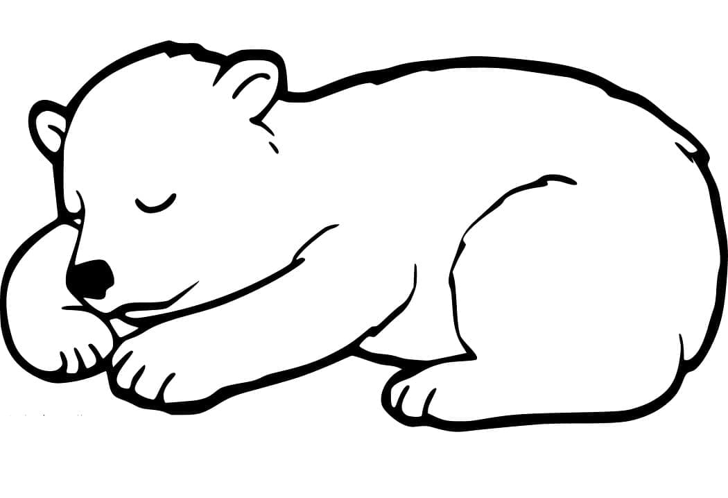 Desenho deLindo Urso Negro para colorir