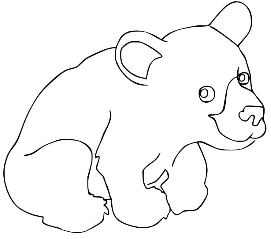 Desenho de Lindo Urso Pardo para colorir