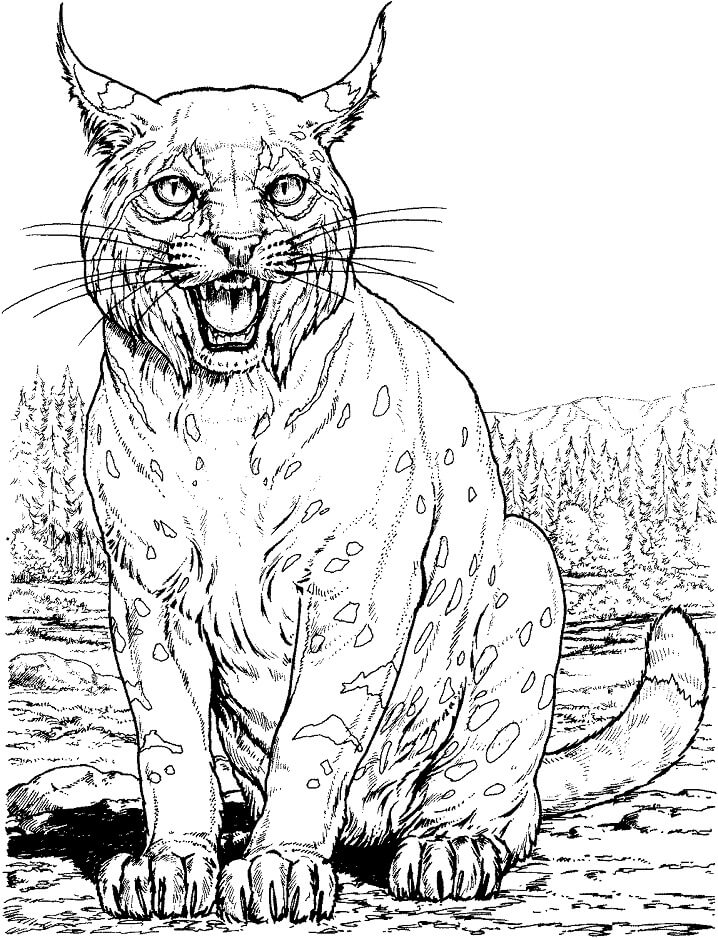 Desenho de Lynx Normal 3 para colorir