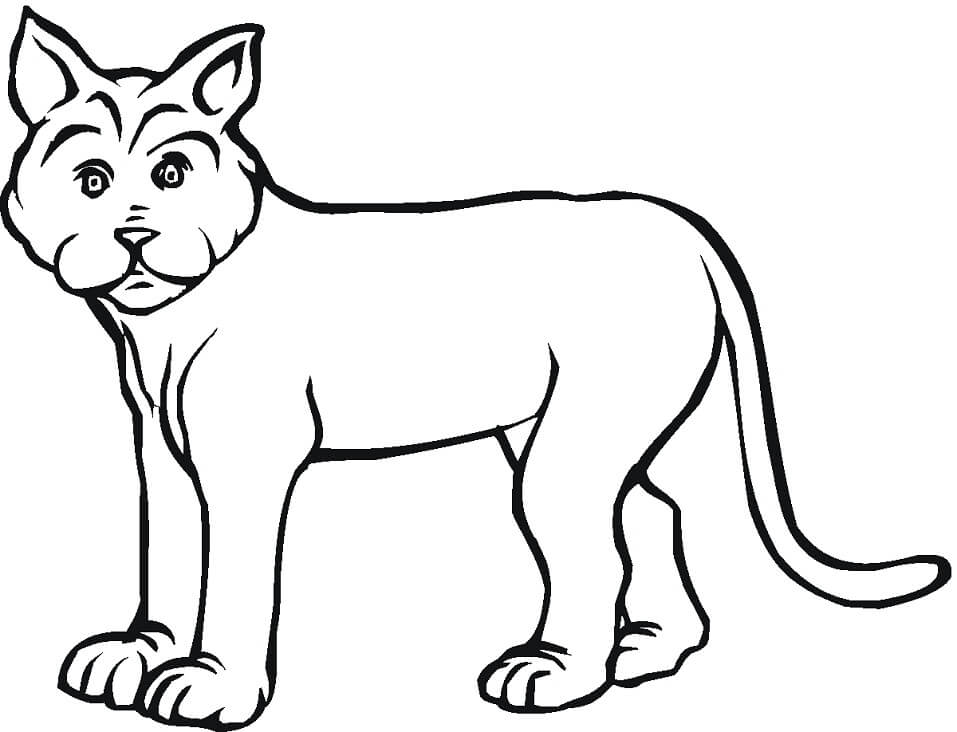 Desenho de Lynx Normal 9 para colorir