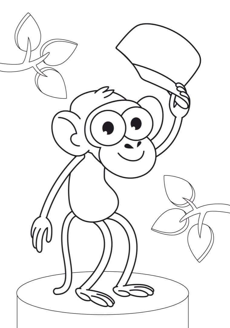 Desenho deMacaco de Bob Zoom para colorir