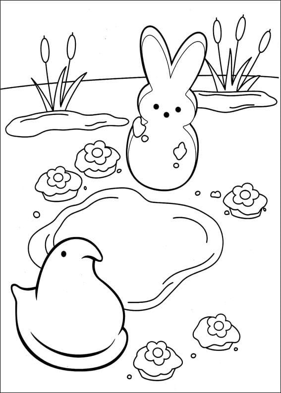 Desenhos de Marshmallow Peeps para colorir