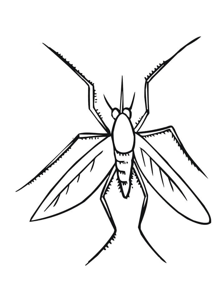 Desenho deMosquito 11 para colorir