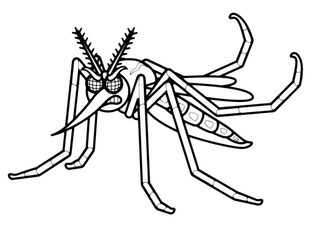 Desenhos de Mosquito para colorir