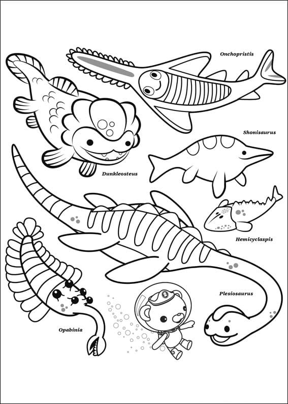 Desenho deOctonautas 7 para colorir