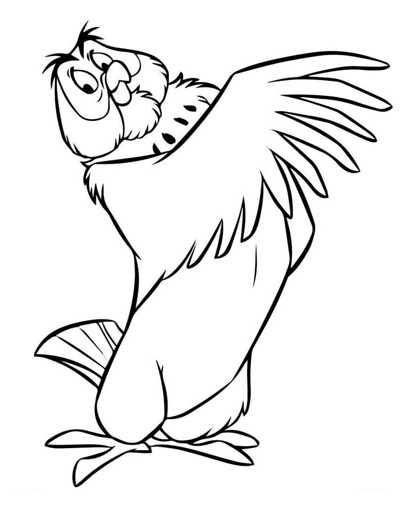 Desenho deOwl 1 para colorir