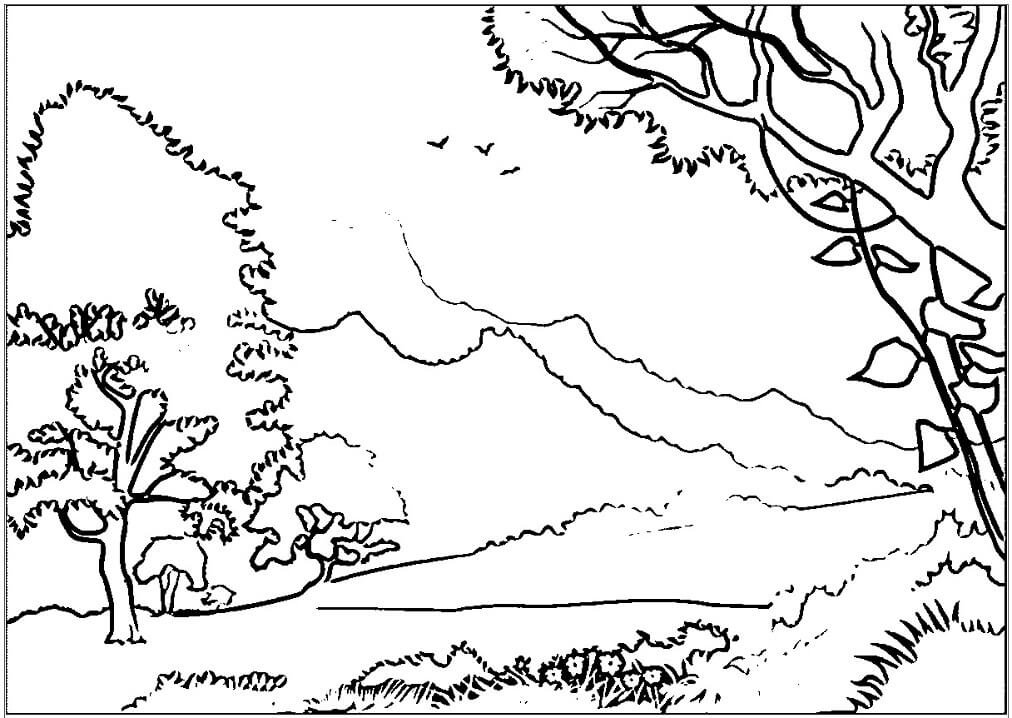 Desenho dePaisagem da Floresta para colorir