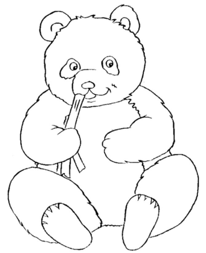 Desenhos de Panda para colorir