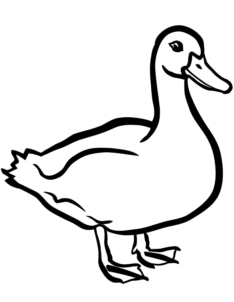 Desenho dePato Simples 1 para colorir