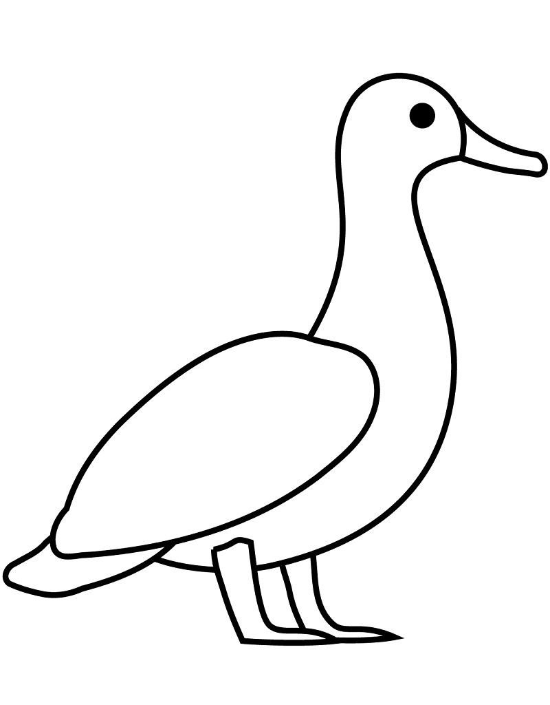 Desenho dePato Simples para colorir