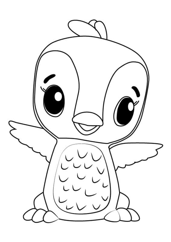 Desenho dePenguala Hatchimals para colorir