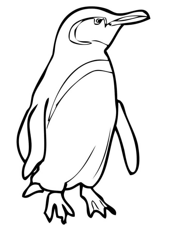 Desenhos de Pinguim para colorir