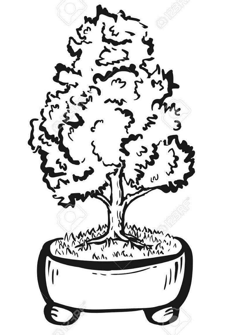 Desenho dePlanta Bonsai 2 para colorir