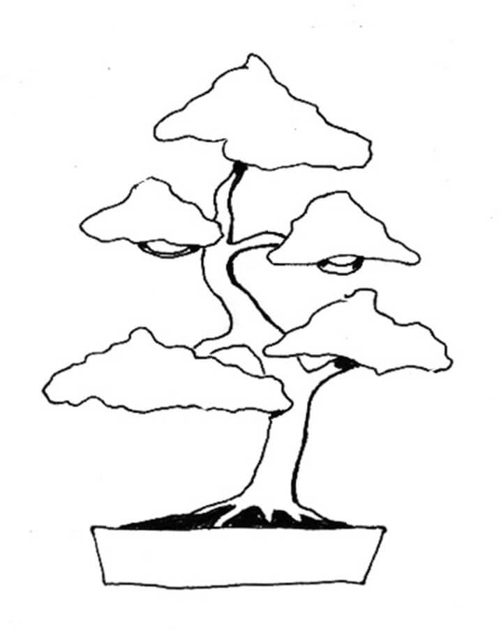 Desenho dePlanta Bonsai 4 para colorir