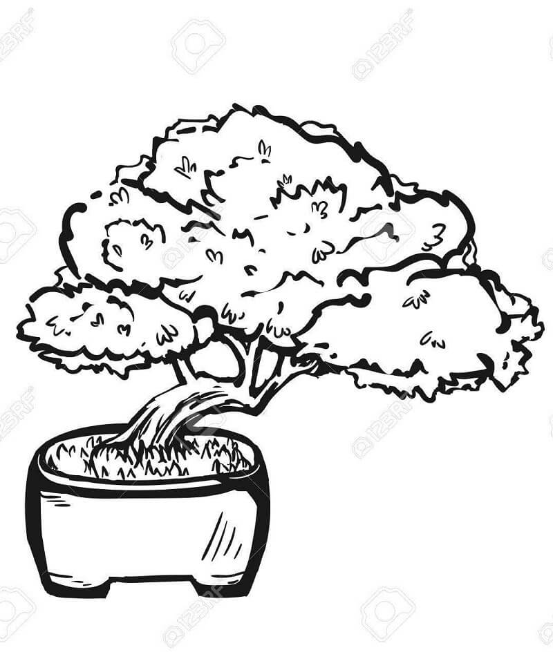 Desenho dePlanta Bonsai para colorir