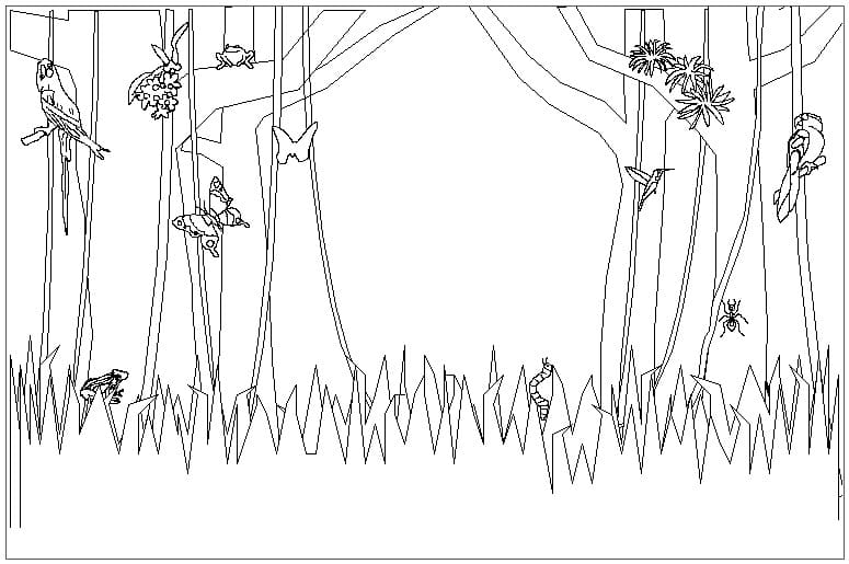 Desenho dePlantas da Floresta Tropical para colorir