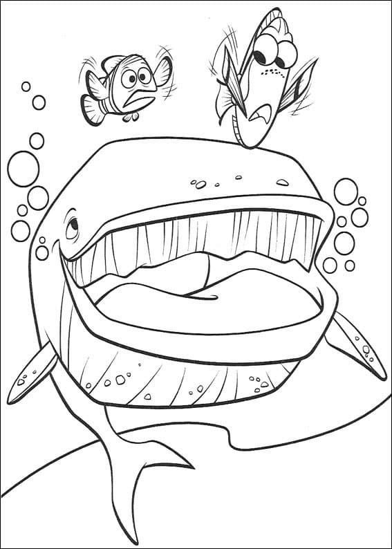 Desenho deProcurando Nemo 9 para colorir