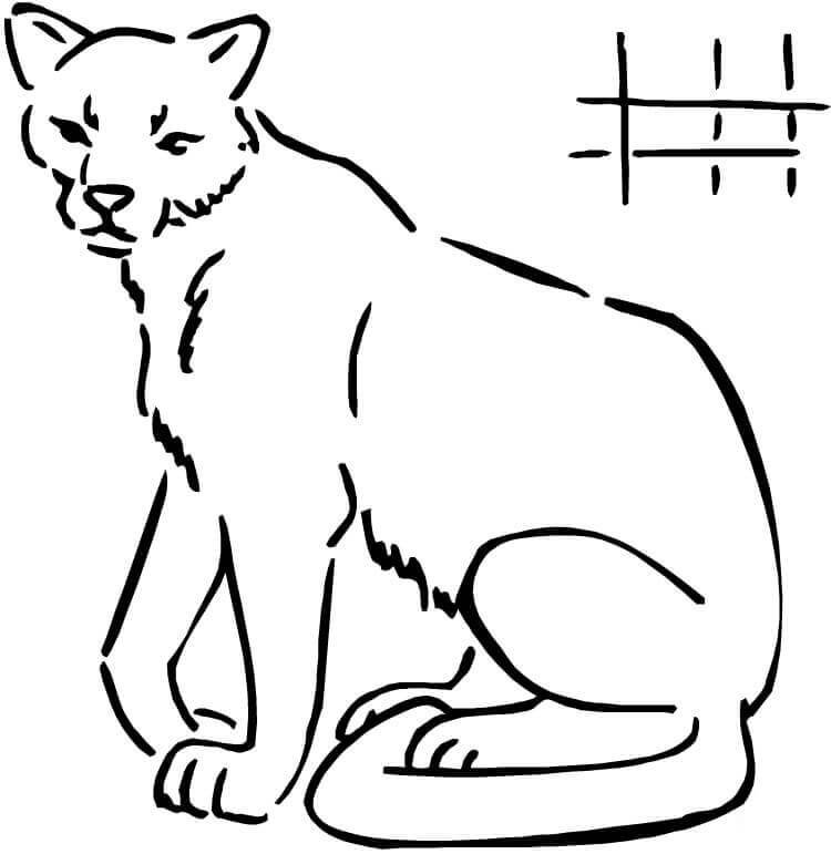 Desenho de Puma 10 para colorir