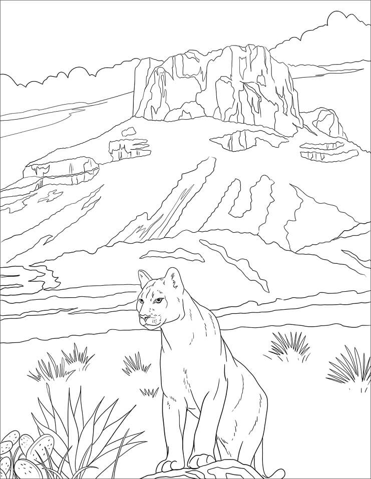 Desenho de Puma 2 para colorir