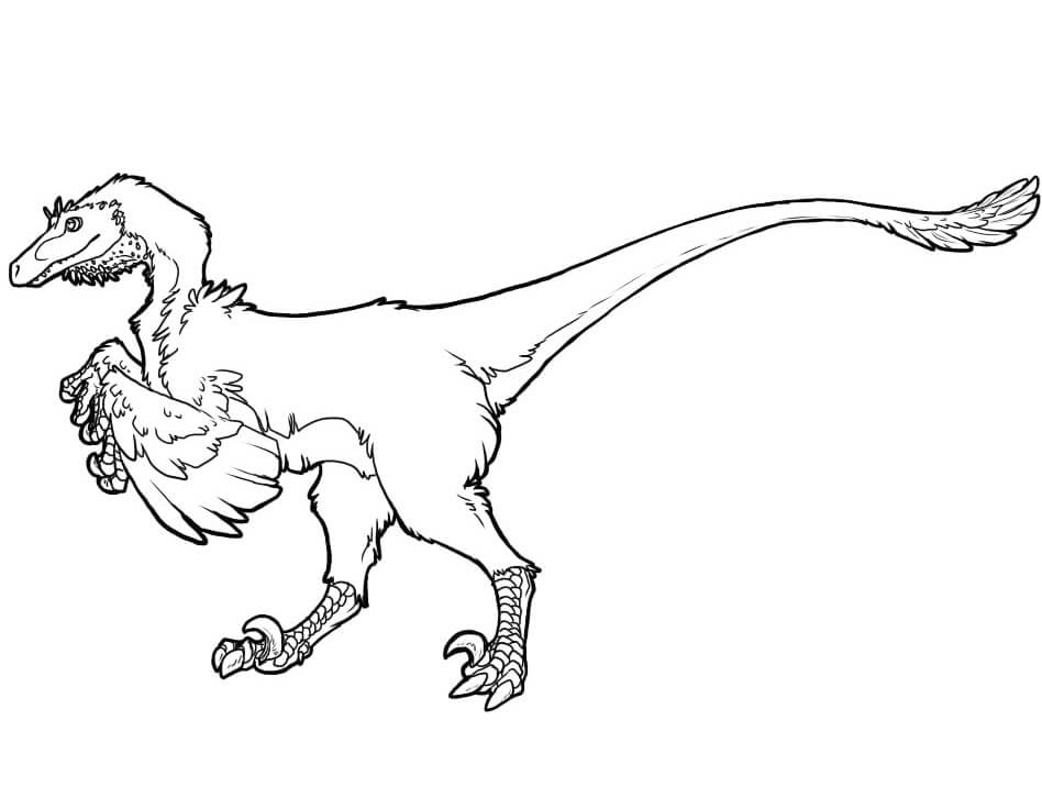 Desenho deRaptor Dinossauro para colorir