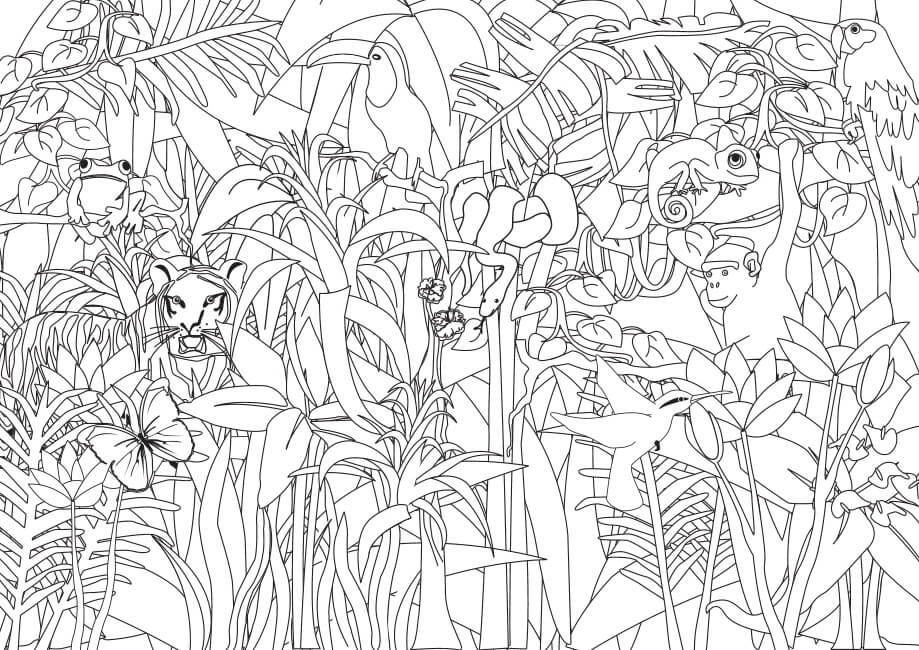 Desenho de Selva 1 para colorir