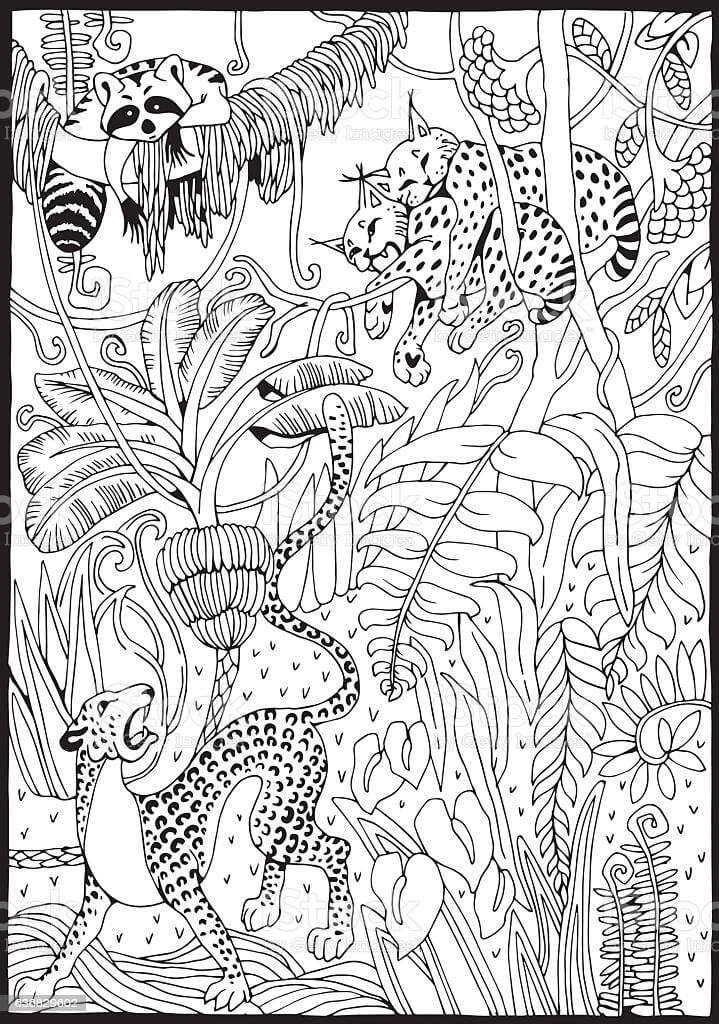 Desenho de Selva 3 para colorir