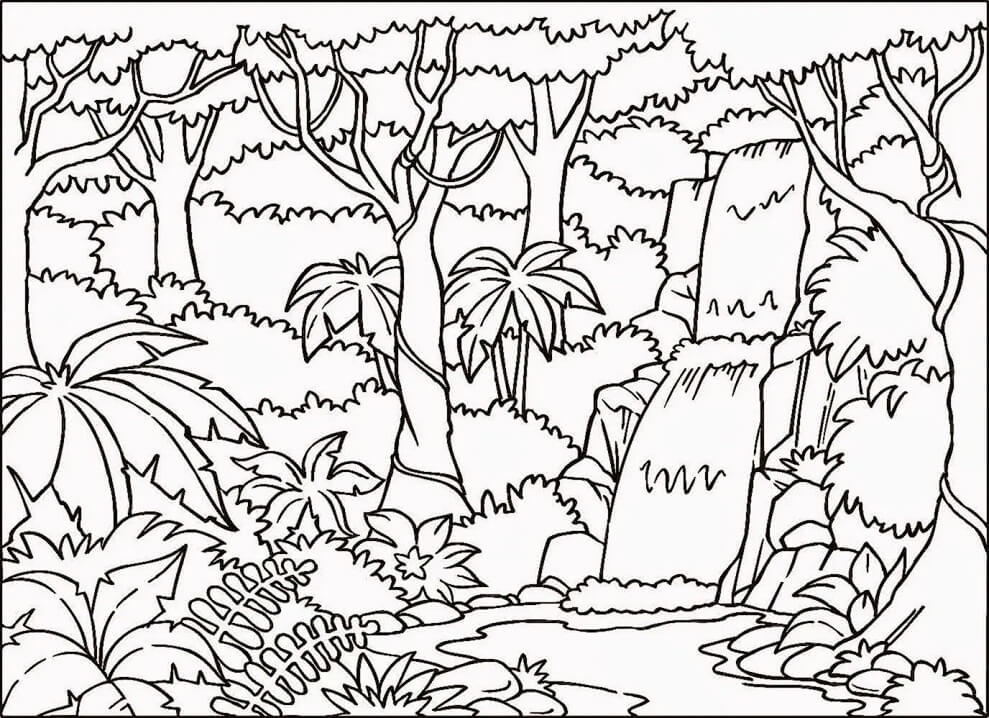 Desenho de Selva 4 para colorir