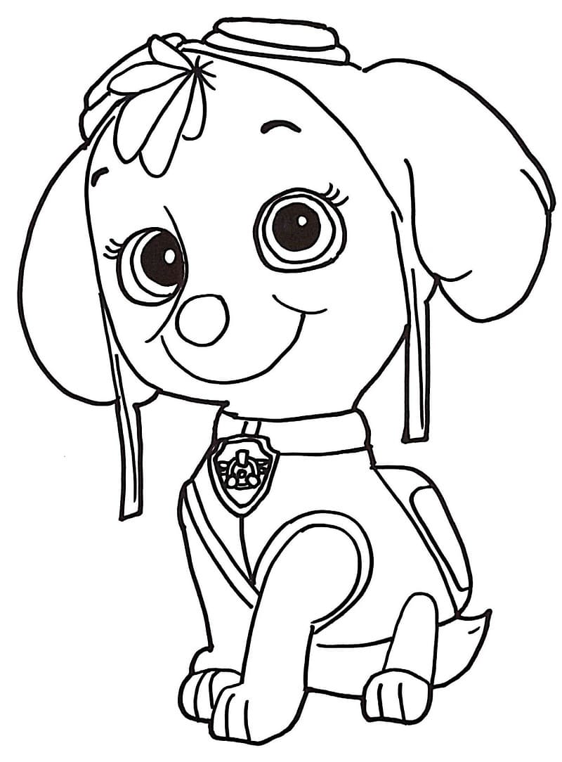 Desenho deSkye de Patrulha Canina 4 para colorir