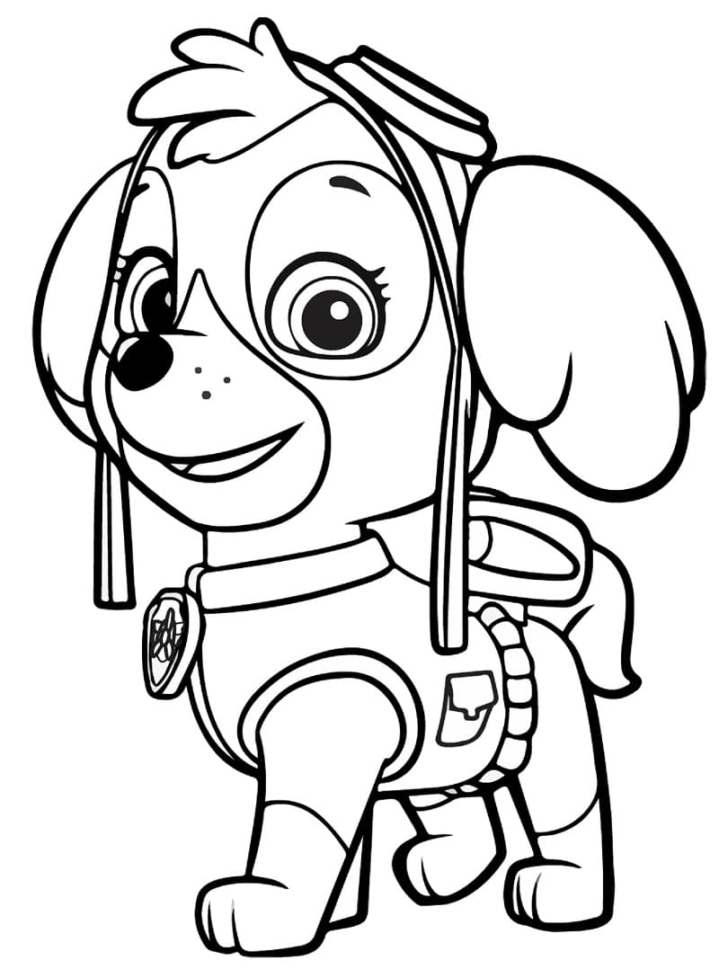 Desenho deSkye de Patrulha Canina para colorir