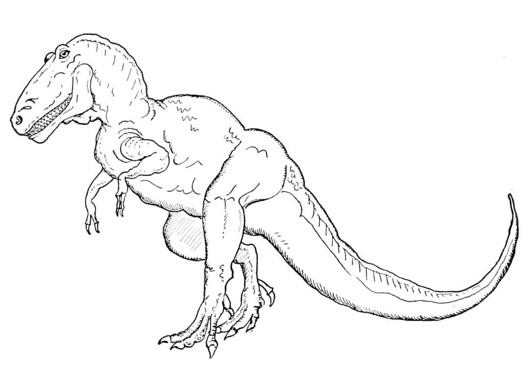 Desenho deTiranossauro Rex para colorir