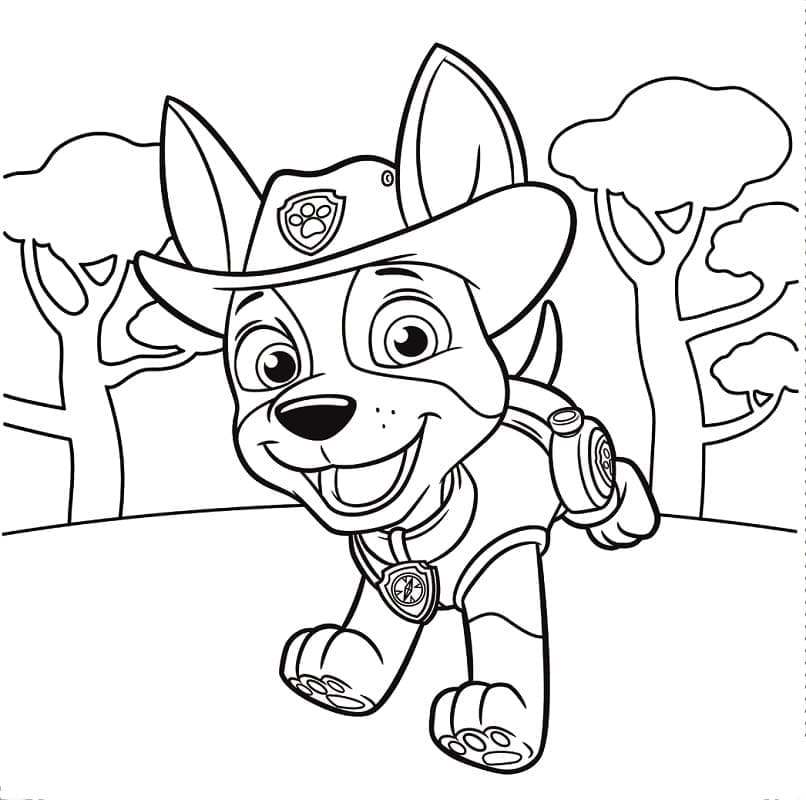 Desenhos de Tracker da Patrulha Canina para colorir