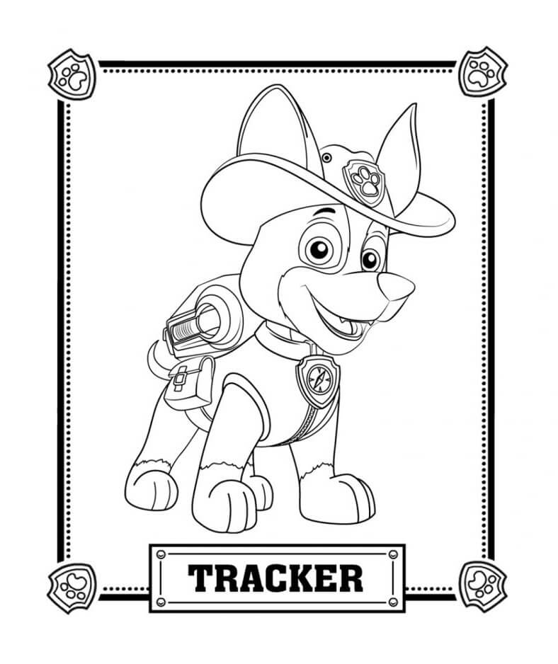 Desenho deTracker de Patrulha da Pata para colorir