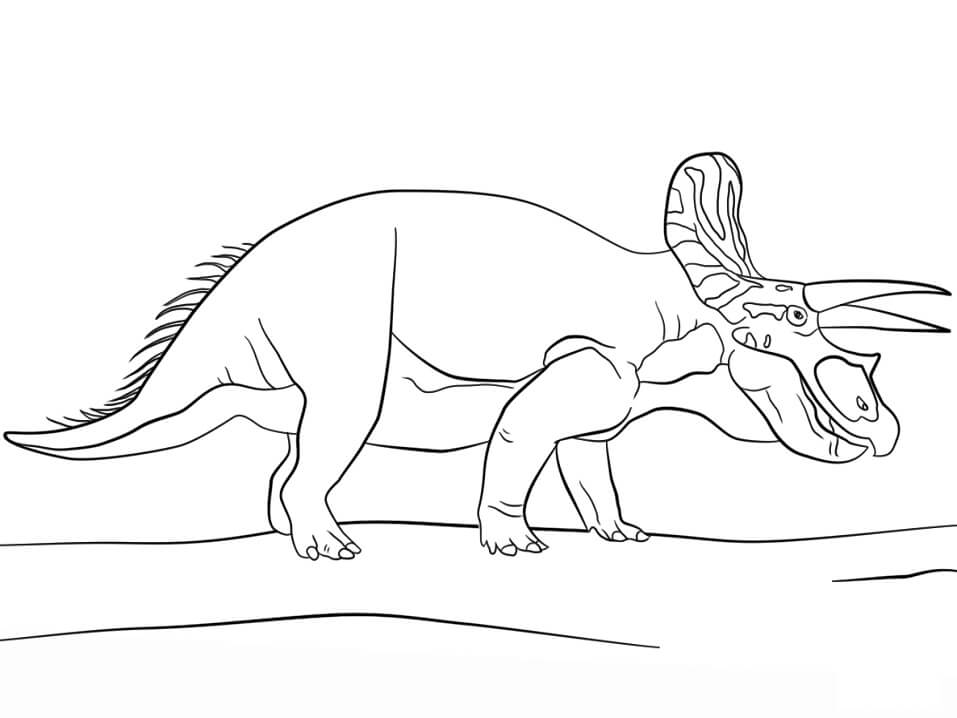 Desenho deTriceratops Dinossauro 2 para colorir