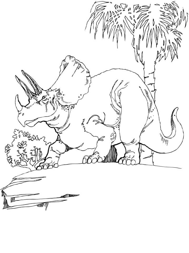 Desenho deTriceratops Dinossauro 7 para colorir